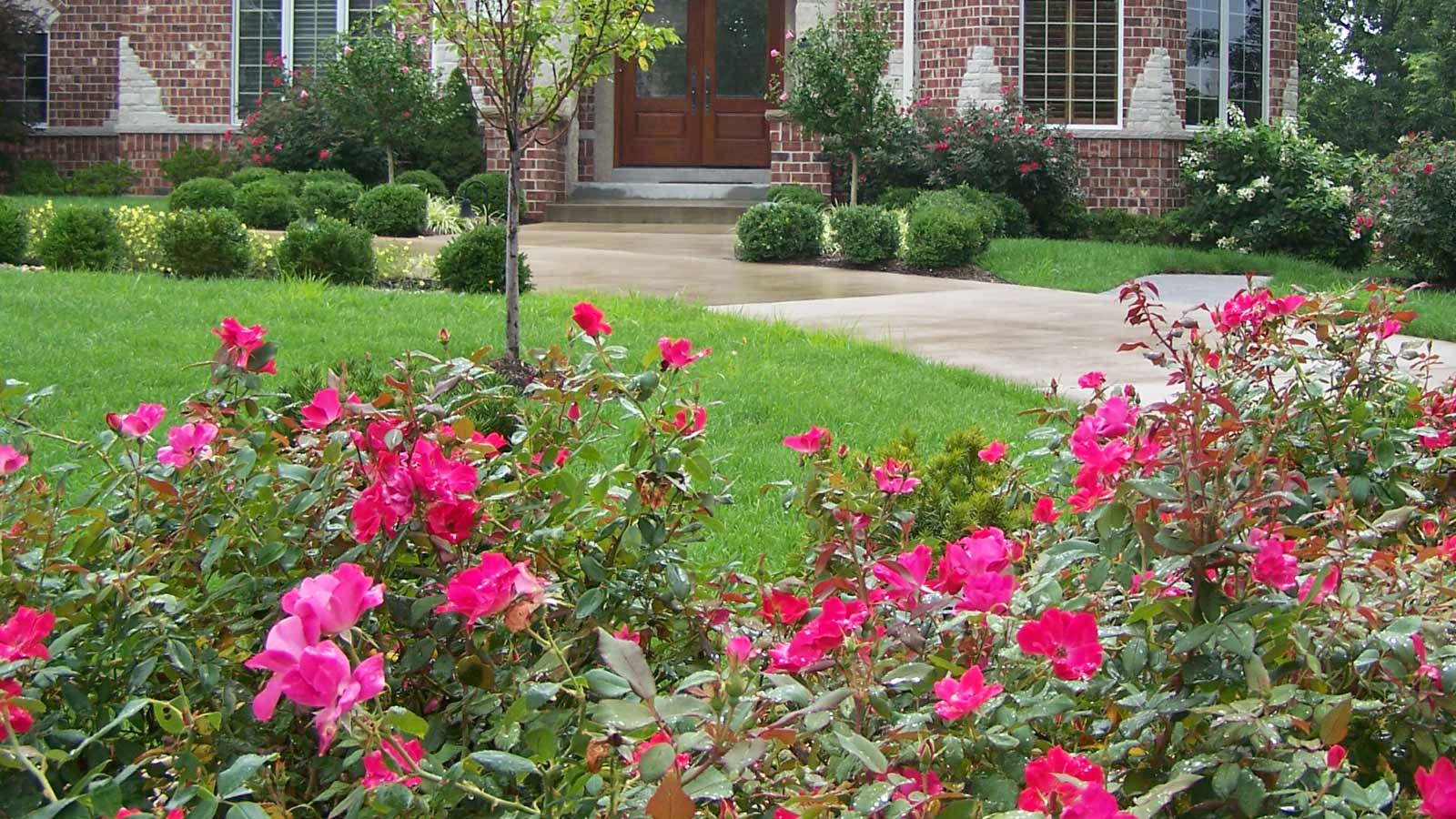 The latest projects and helpful tips from SFP Landscaping