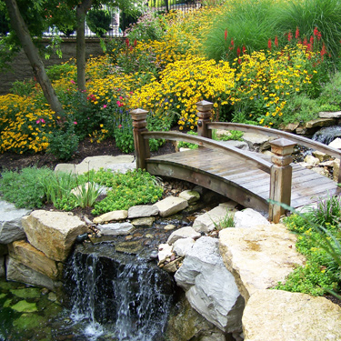 Tranquil Water Features