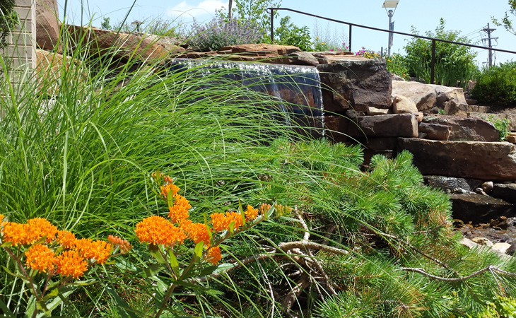 st-louis-native-landscaping