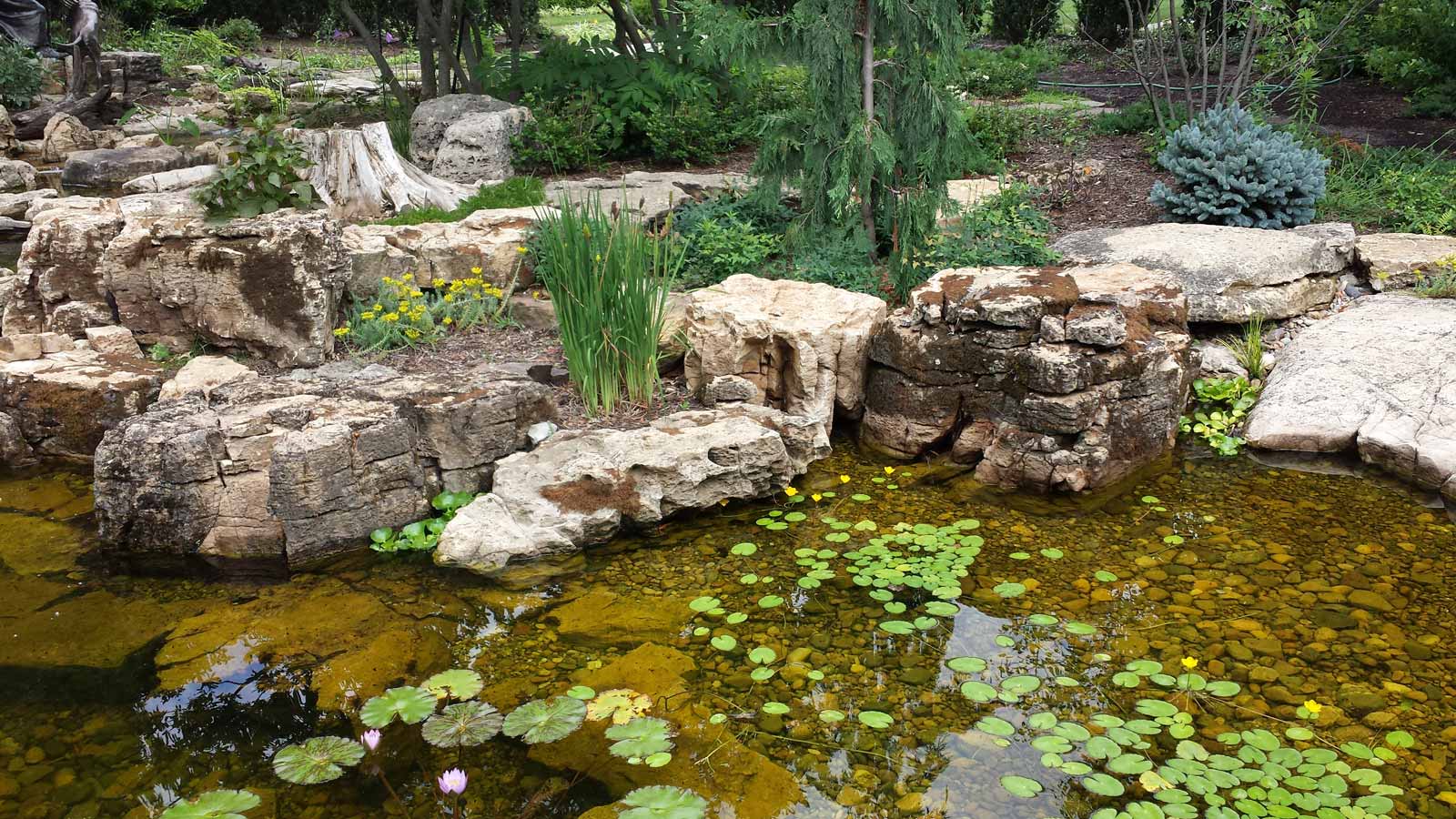 Year-round Landscaping Services for Your Home