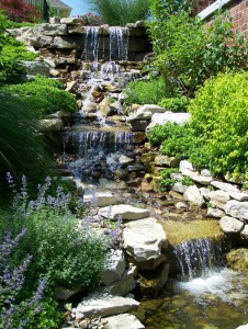 Residential Landscape, Landscaping, Residential Design