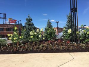 ballpark Village2